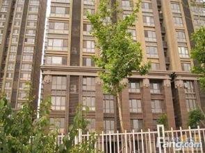 武汉龙亭家园新闻头条,紧急救援行动展开