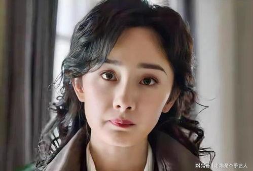 明星讲风水,布局与运势的完美融合