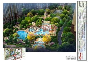 微头条锦丽花语,探寻花中蕴含的美丽寓意与情感