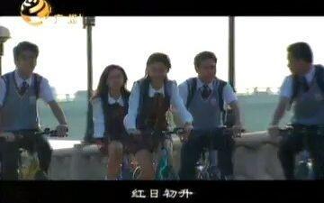 广东新闻最前线爆料,独家爆料，揭秘重大事件背后真相