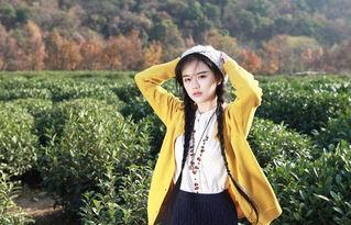 明星 圃,璀璨星光的摇篮与舞台