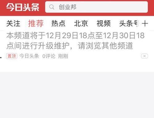 黄版今日头条,聚焦热点，洞察社会脉动