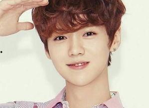 l明星排行,璀璨星光闪耀娱乐圈