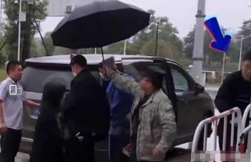明星接伞,浪漫瞬间引关注