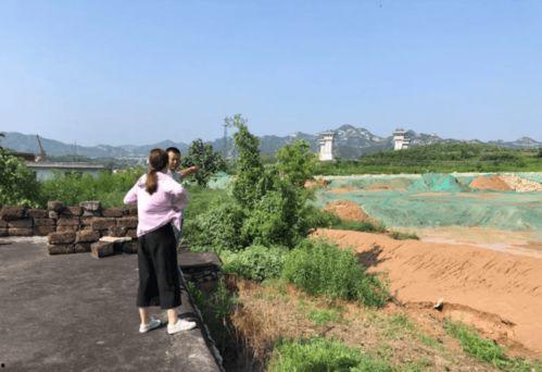 井陉微水吃瓜,瓜香四溢的乡村风情