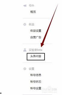 问答在头条的定位怎么找,如何精准定位与撰写概述文章副标题