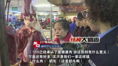 猪婆老公最新爆料图片