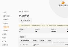 淘宝明星店铺推广,星光熠熠，购物新体验