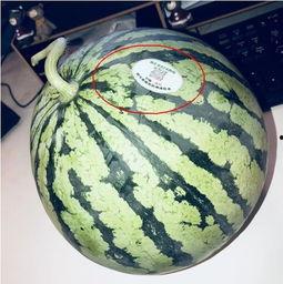 网红吃瓜热门,揭秘娱乐圈最新热点事件