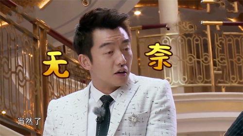 郑恺爆料完整版视频大全,揭秘娱乐圈幕后真相