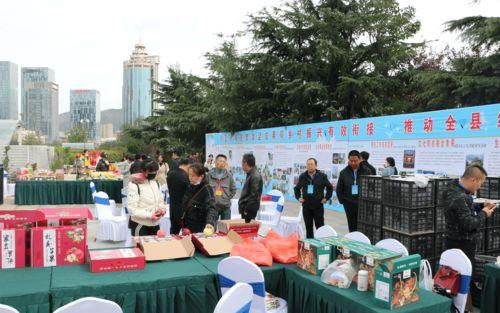 甘肃天水礼县新闻头条,聚焦天水礼县最新动态与重大事件