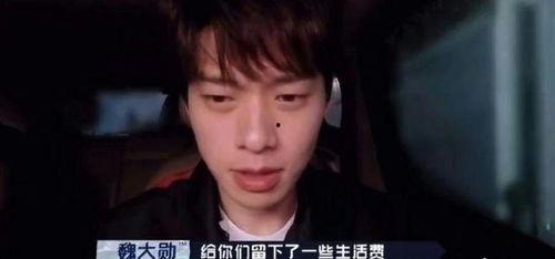 良哥明星爆料视频大全集,明星爆料视频大全集精彩瞬间回顾