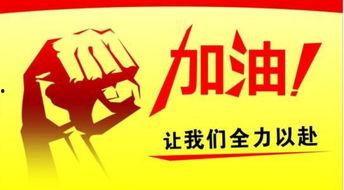 加油摄影头条号文案,加油摄影头条带你领略视觉盛宴