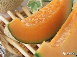 吃哈密瓜醉了,一次意外的甜蜜体验