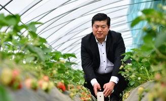 农民网红叫什么涛,揭秘农民网红的崛起之路