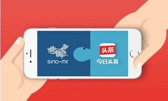 今日头条互动问答,揭秘热门话题背后的真相与观点