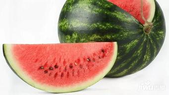 大瓜免费吃,尽在大瓜免费吃！