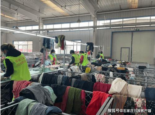 网红工厂分拣累吗,高强度劳动背后的辛酸与挑战
