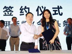 头条和澎湃对比图,视觉对比揭示新闻平台差异