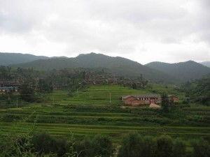 云南牟定农村明星