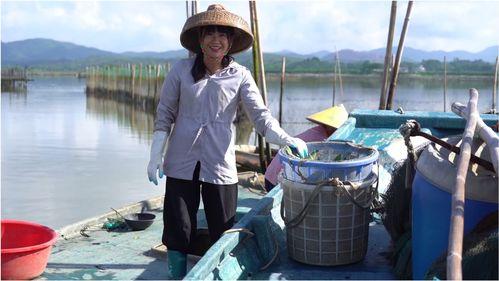 渔村网红,揭秘网络红人的渔村生活与魅力