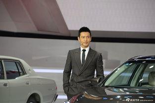 金金明星,闪耀舞台的璀璨之星