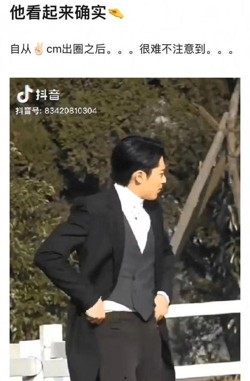 圈内人士爆料王鹤棣图片,帅气魅力引热议