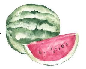 吃瓜找不同,揭秘娱乐圈那些不为人知的秘密