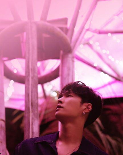 奋斗的力量的明星,明星闪耀的星光历程