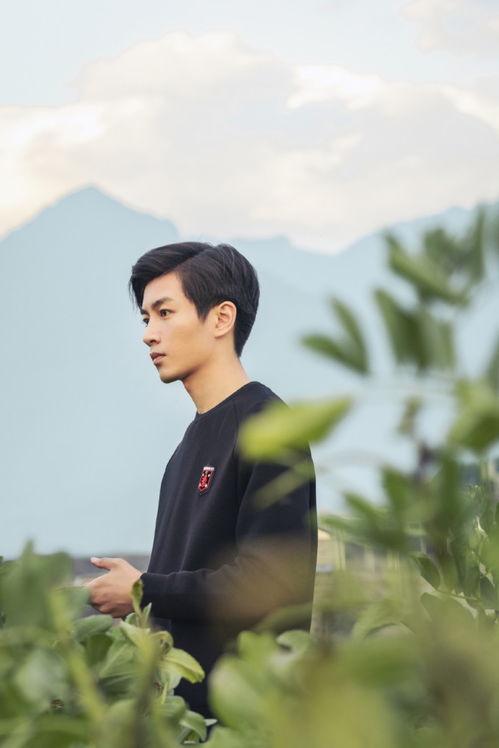 娱乐圈吃瓜陈晓是谁啊,娱乐圈吃瓜群众心中的实力派演员