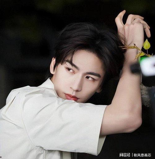 吃瓜娱乐圈张凌赫