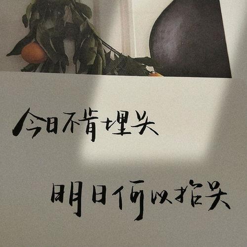吃瓜娱乐文案句子可爱