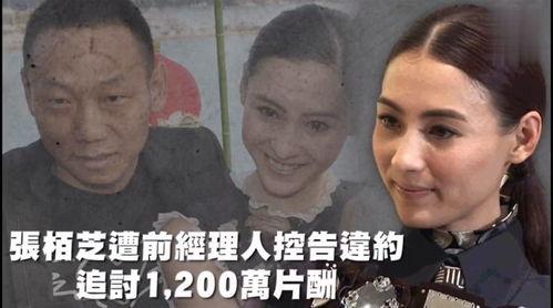 吃瓜娱乐哈,吃瓜群众揭秘幕后故事